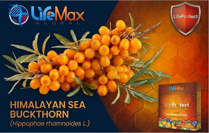 Sea Buckthorn Extract
